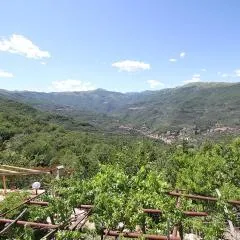 Agriturismo Nonni Devia