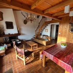 Grand duplex ensoleillé, forêt cheminée ski