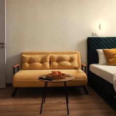 Bienvenue Studio- Steps from OldTown