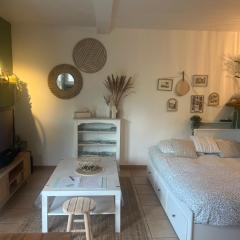 Grand studio neuf en rez de jardin avec terrasse