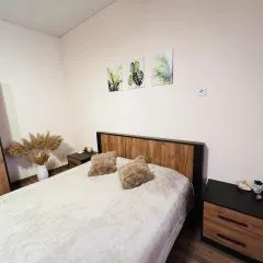 Квартира в центре! Книжный рынок!