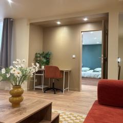 L'Olivier - appartement cozy au centre de Poitiers