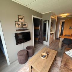 Leilighet i Telemark på Gautefall, i Drangedal, familievennlig og koselig, Ski inn-Ski out