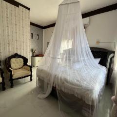 Orangutan Inn - Trekking & Transport Only Book With Us