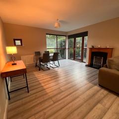 Dublin Airport accommodation entire house