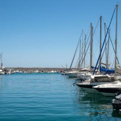 Palmeras Blue