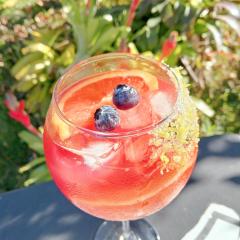Chalé Rota Bar 448