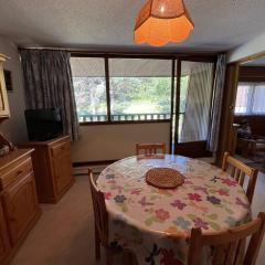 Loue appartement au Mont Dore AUVERGNE