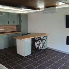 Optimus Studio Esturión