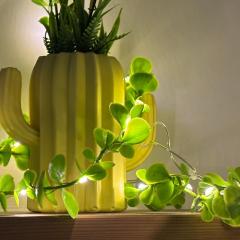 Swarga Fireflies Ranger