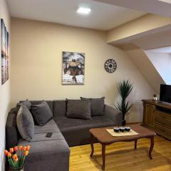Central Cozy Apartment