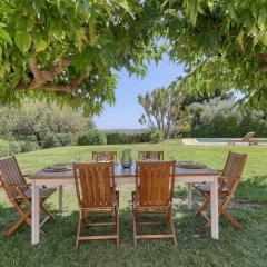 Beautiful Provencal house with swimming pool