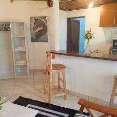 The Makuti breeze house