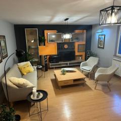 Cela kuca pored reke centar- privatan parking , dvorište- Jagodina