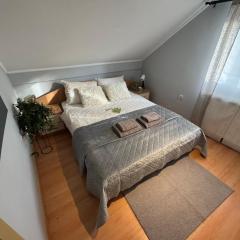 Moderan apartman u centru- dve spavaće sobe, parking u okviru dvorista