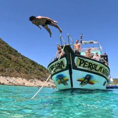 Passeios pelas praias mais cristalinas de Caribe brasileiro
