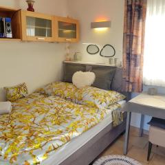 1-Raum-Appartement Ostseetraum mit Terrasse