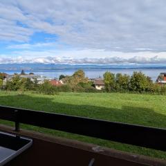 Le Panoramic Evian