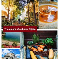 Center Rooms with terrace