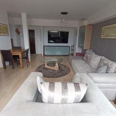 Apartament Panoramic Aria