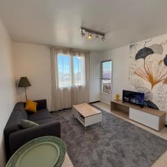 Le Newton Appartement Polygone Wifi