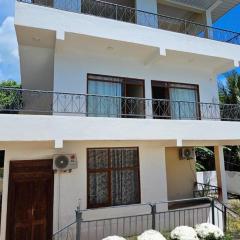 AliTa Villa Zanzibar