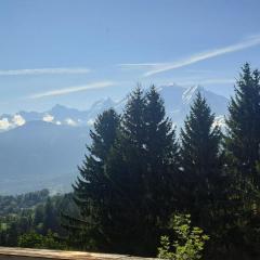 AP-37 La Grande Cordée Combloux