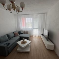 Apartmán s 1 spálňou v tesnej blízkosti centra