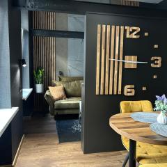 Central Elegance Apartment