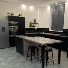 Appartement de standing en centre ville