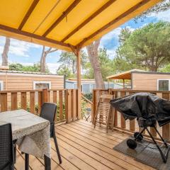 Mobilhome au Camping La Yole