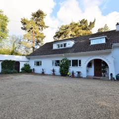 1 Bed in Ashley Heath 50147