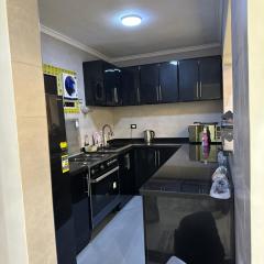 شقة مفروشة حديثة Modern furnished apartment