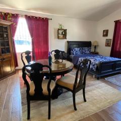 Guest Studio near Businesses and Markets