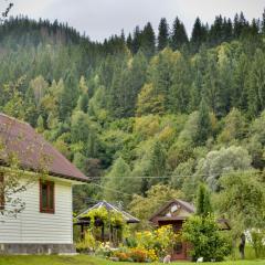 Комфортне Studio в Криворівні