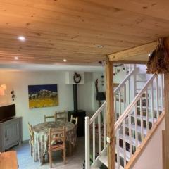 Châtel, Duplex 3 Pièces, 6 Pers, Balcon, 300m des remontées mécaniques, Parking inclus - FR-1-676-45