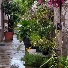 CasaLina