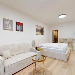 Downtown Apt w King Size Bed and AC