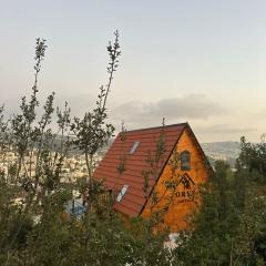 أكواخ المها oryx cottage