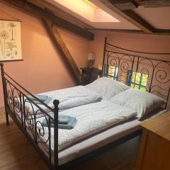 Ferienhaus an der Ostsee mit großem Garten