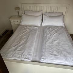 Ferienwohnung im Dreiländereck D-F-CH