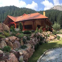 Lacu Roșu Mountain Lodge