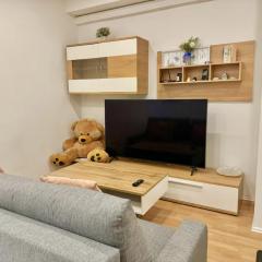 Central Stone Stylish Apartment