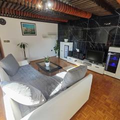 Brezovica Spacious Family-Friendy Apartment - Two Bedroom Apartment with Balcony