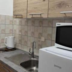 Apartments Natali - One Bedroom Apartment with Balcony APP3