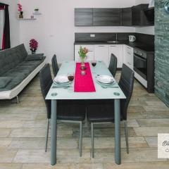 Bled Prestigious and Stylish Apartments - Standard Studio Apartment with Terrace