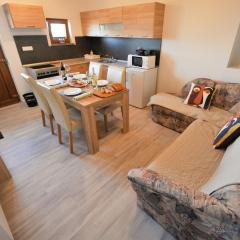 Relax and Rustic Apartments with Terrace - Standard One Bedroom Apartment with Terrace