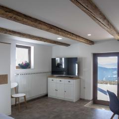 Mountain Vibrant and Timeless Apartment with Sauna - Studio Apartment with Terrace