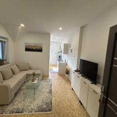 City Modern and Vibrant Apartments Ljubljana - Standard One Bedroom Apartment