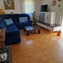 Bovec Comfortable Apartment with Mountain View - One Bedroom Apartment with Mountain View